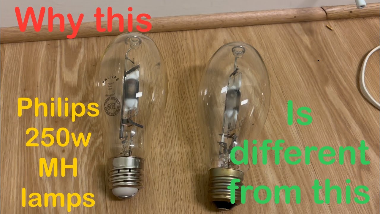 Philips 250w metal halide light bulbs + info on USA vs Chinese/Indian lamps and bug attraction test