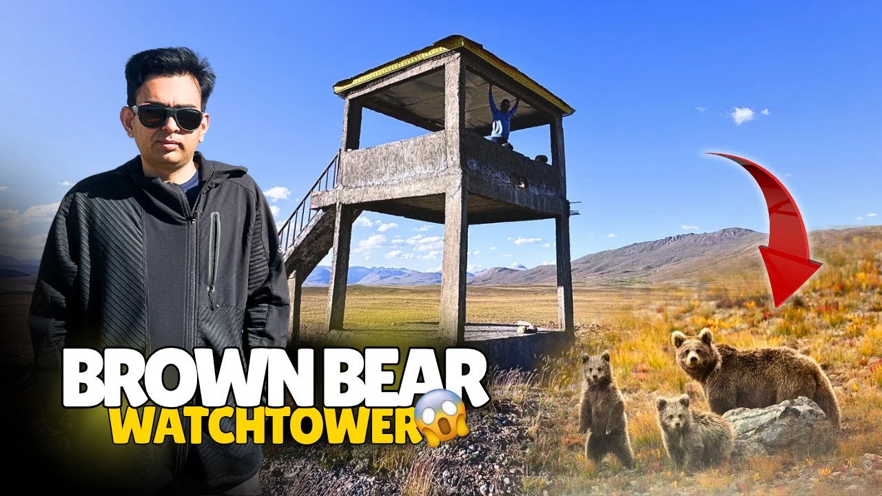 Brown Bear Watchtower at Deosai National Park | Bara Pani Adventure | Skardu trip 2024
