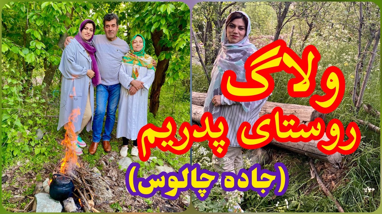 ولاگ روستای زیبا پدریم شهرستانک ، جاده چالوس ، چشمه ، جنگل ، چای ذغالی
