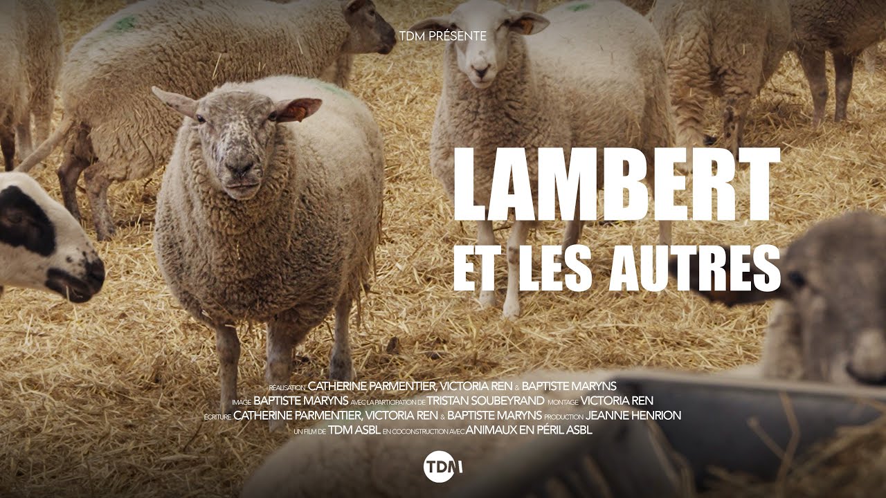 LAMBERT ET LES AUTRES
