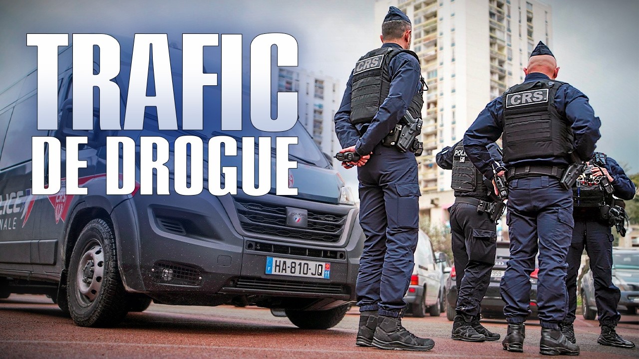 Trafic, Violence et Accidents : Au coeur d'une nuit sous tension - Flics, vie en direct EP6 - BSF