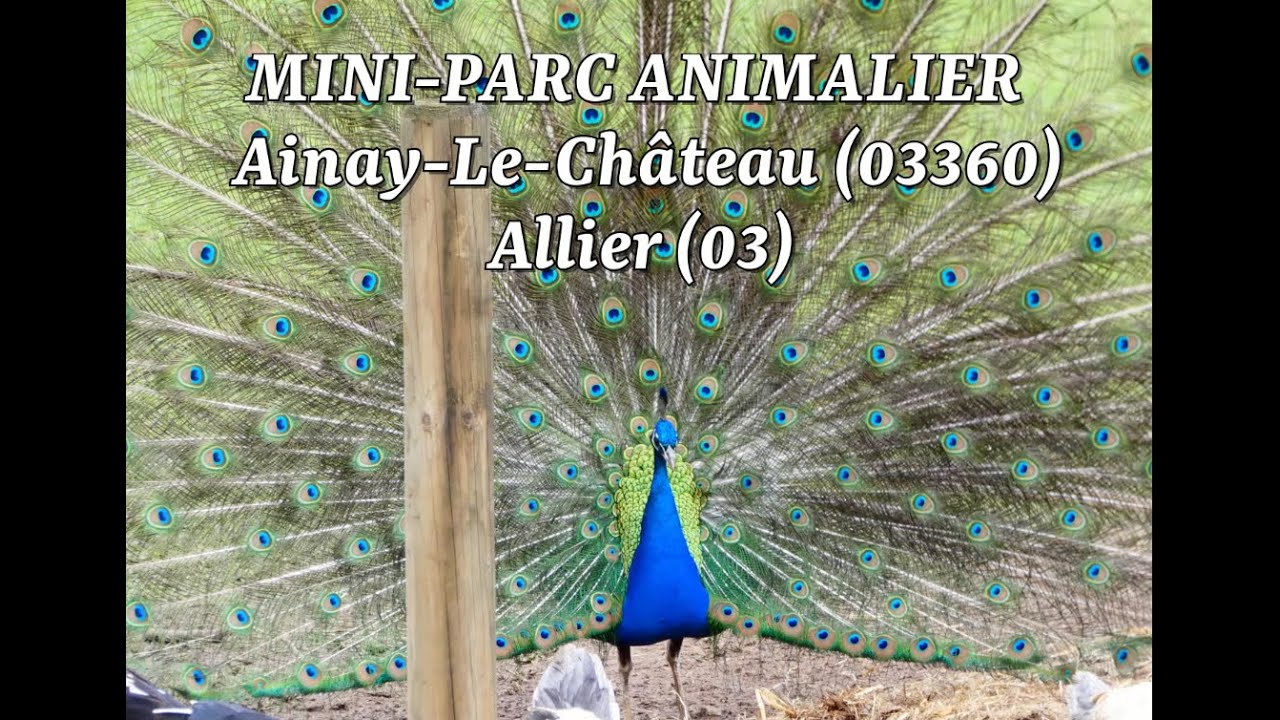 Mini parc animalier &agrave; Ainay Le Ch&acirc;teau 03360 Allier (03)