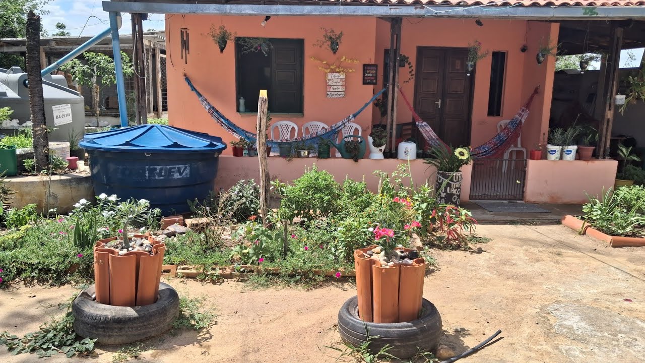 MEU  JARDIM ENCANTADO 🌵🌼🐝🌻🌞