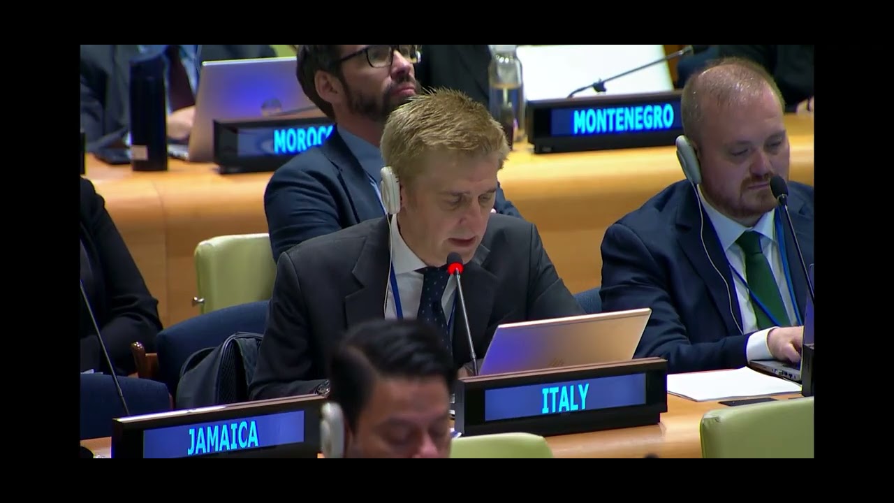 XI Review Conference of the Non-proliferation Treaty (NPT)
