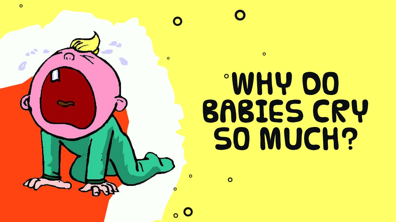 General Knowledge For Kids | Why Do Babies Cry So Much | Kidsvideoshow