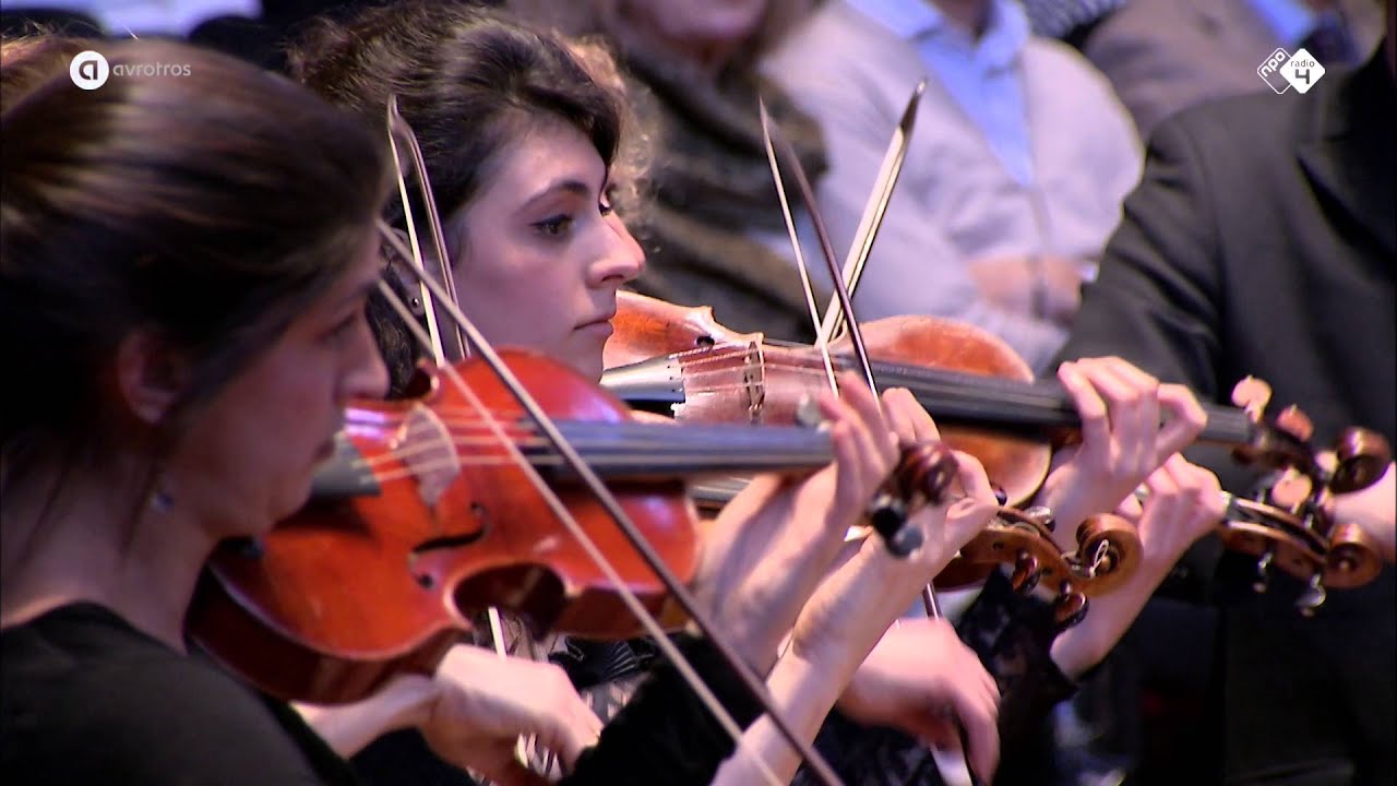 J.S. Bach: Brandenburgs Concert nr. 5 - Hofkapelle München - Live concert HD