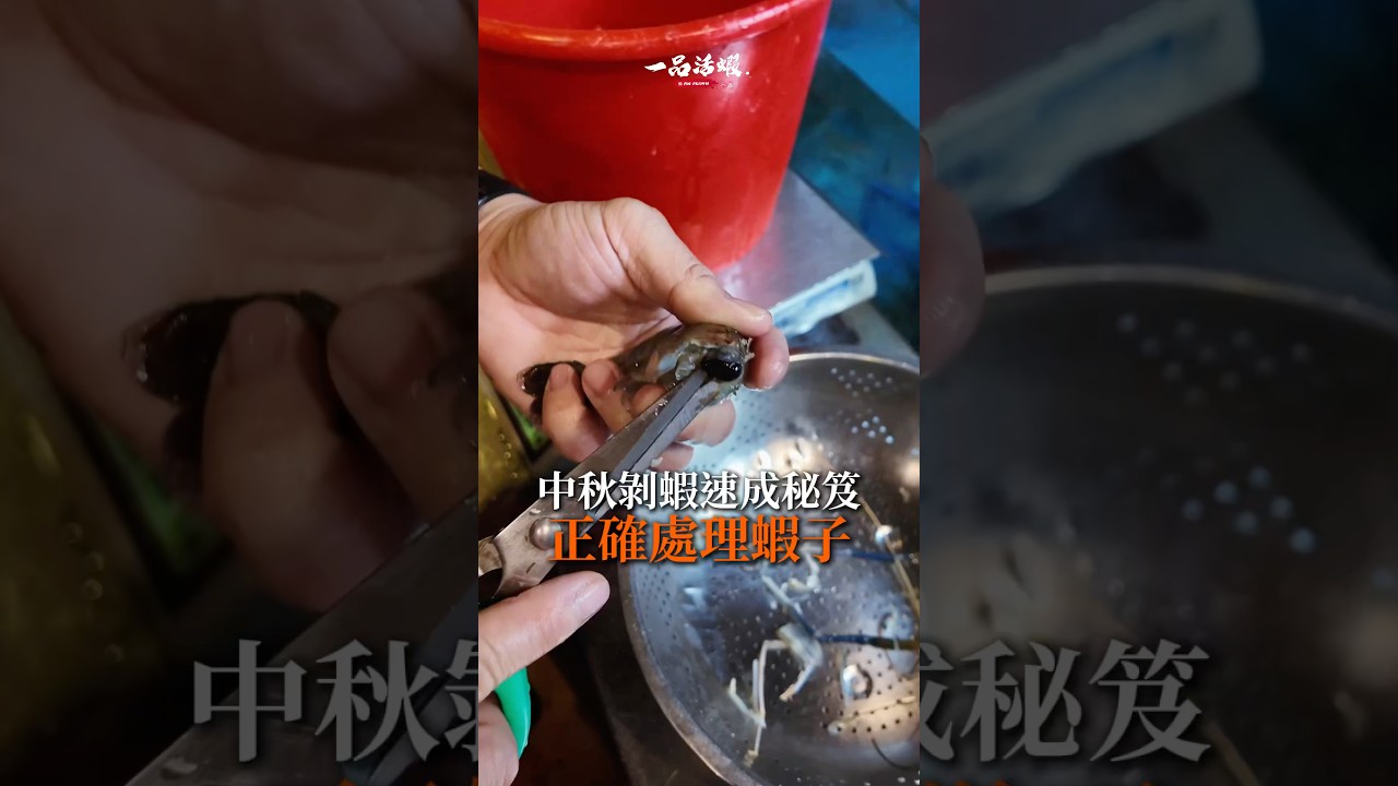 中秋剝蝦速成秘笈-正確處理蝦子 #一品活蝦