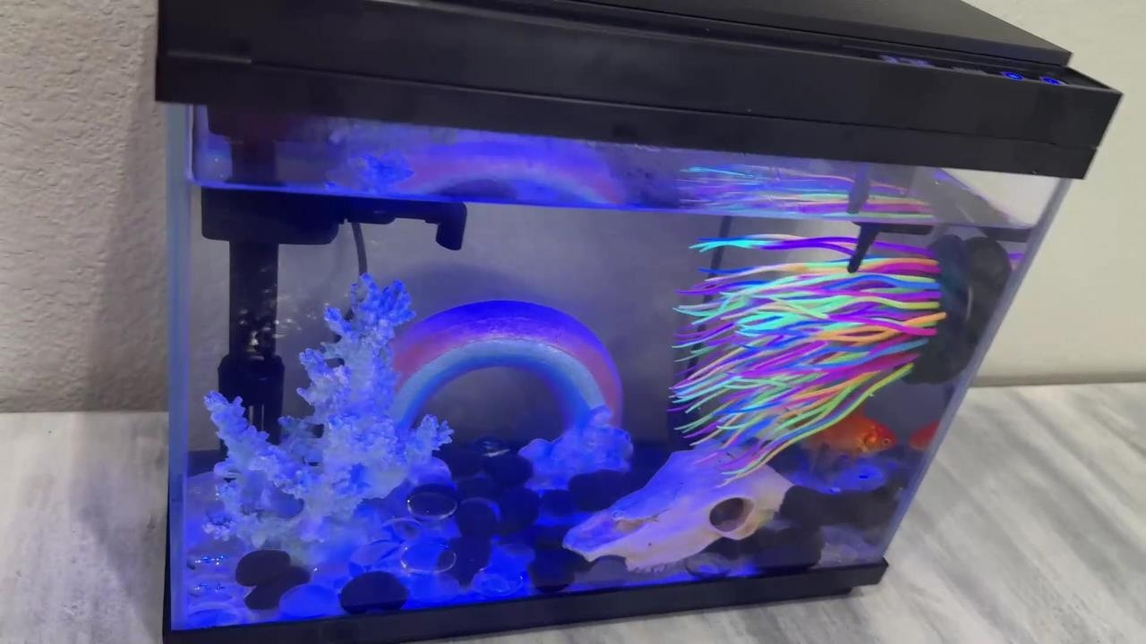 Rechale Smart Aquarium Fish Tank &ndash; 2.4 Gallon Small Aquarium