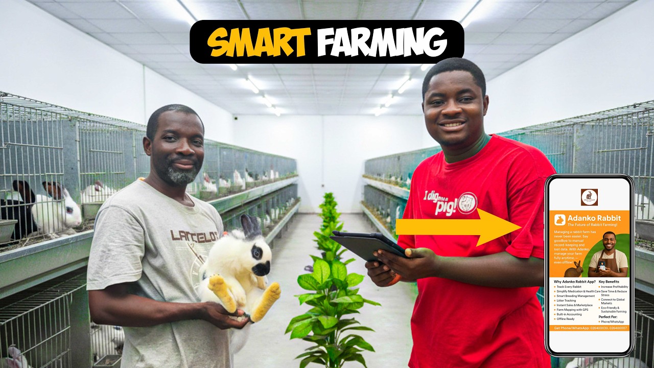 From Software Engineer to Farmer: He Built an App That Automates Rabbit Farming