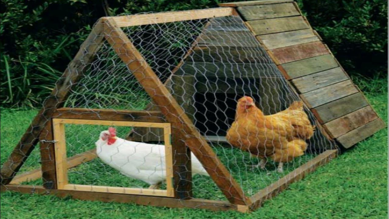 Modelo simples e lindo de galinheiro, como fazer um galinheiro, 
how to make a chicken coop