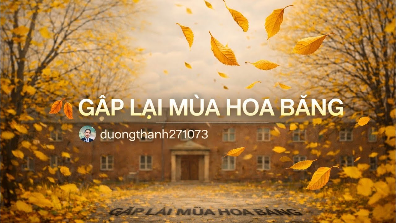 Gặp Lại Mùa Hoa Bàng | Bản Nhạc Hoài Niệm Sân Trường Khiến Ai Cũng Nhớ Tuổi Học Trò
