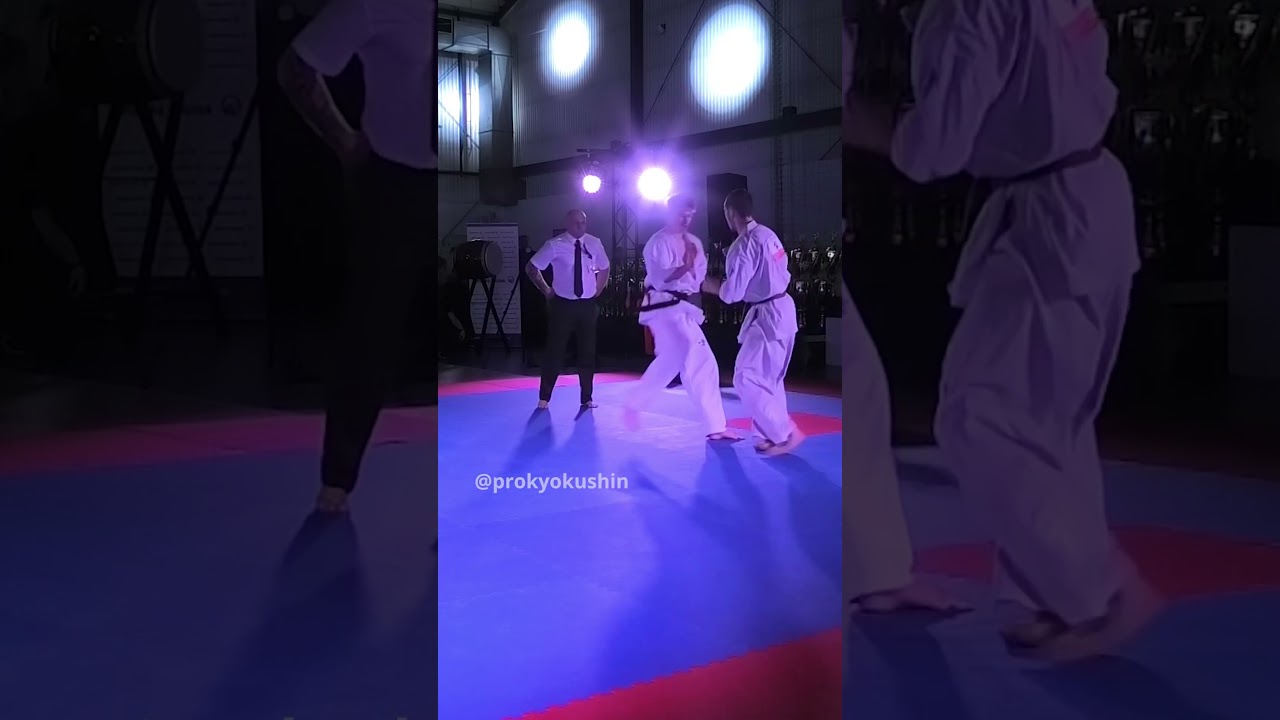 The 36th European Weight Category Karate Championship (IKO)