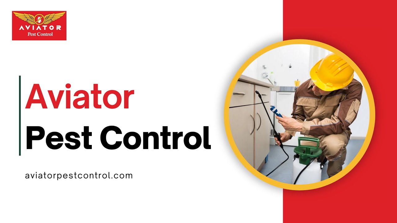 Aviator Pest Control - Ressidential And Commercail Pest Control Houston, TX | Fleas/Ticks Control