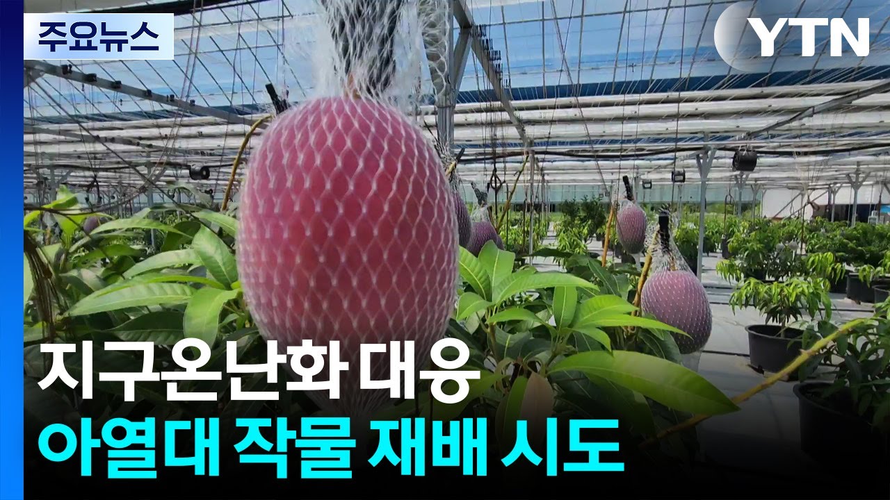지구온난화에 농촌 재배 작목도 변화 / YTN
