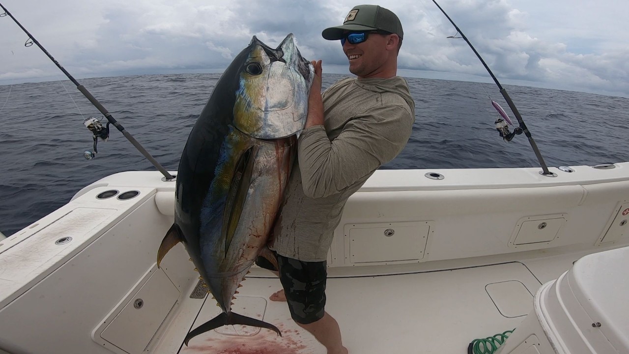 Panama 2025 - Yellowfin Tuna fishing with Sport Fish Panama Island Lodge