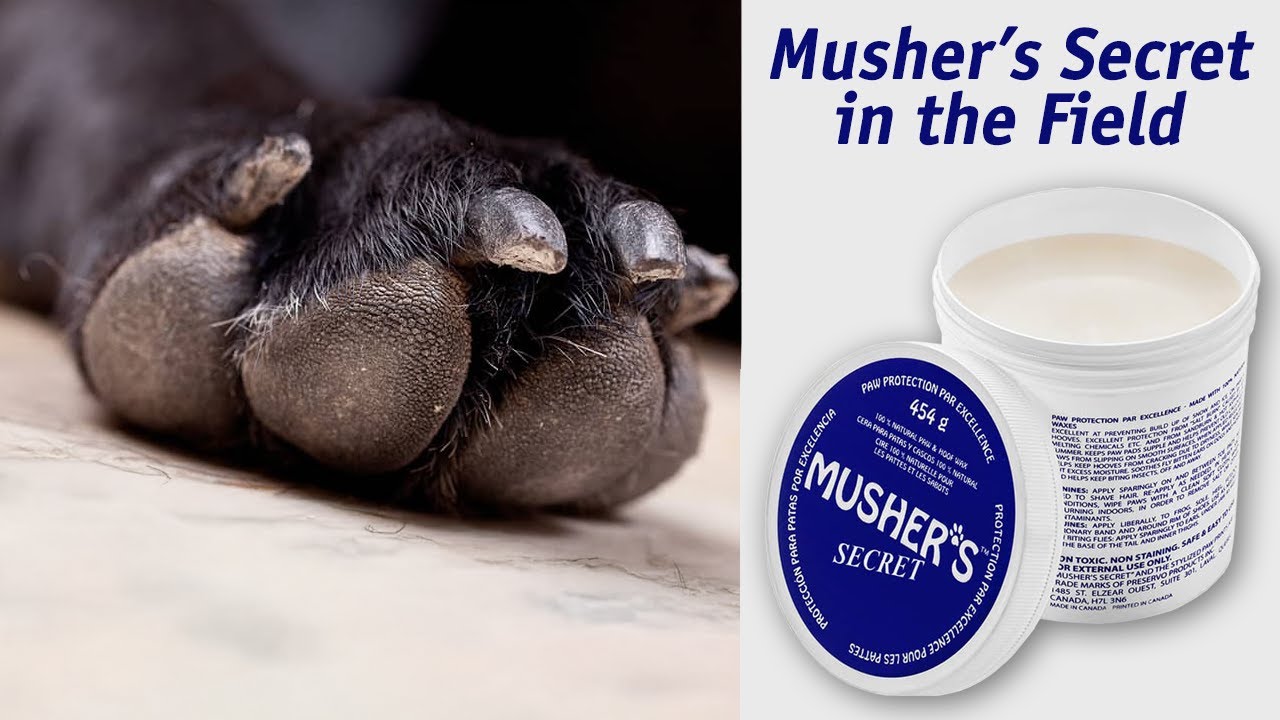 Musher's Secret All-Natural Paw Protection In the Field