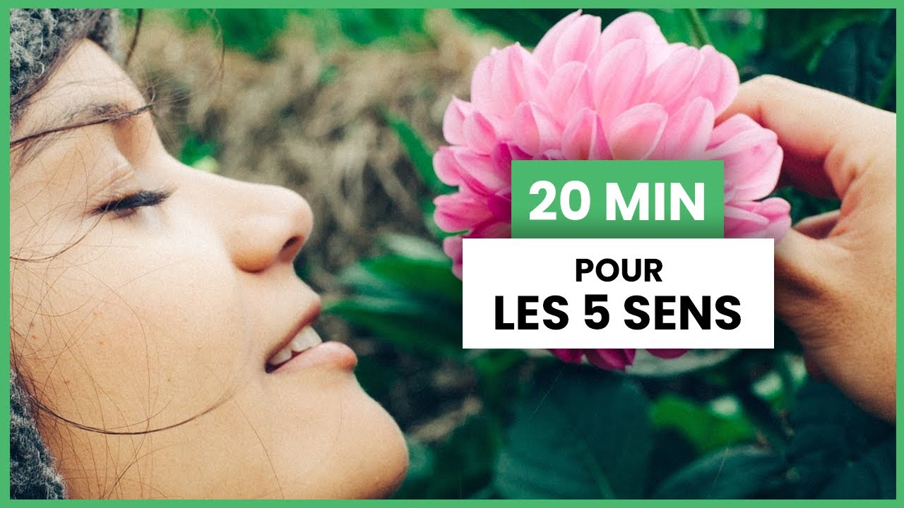[20 min.] Les 5 sens • Séance de méditation guidée par Lucie Pascutto