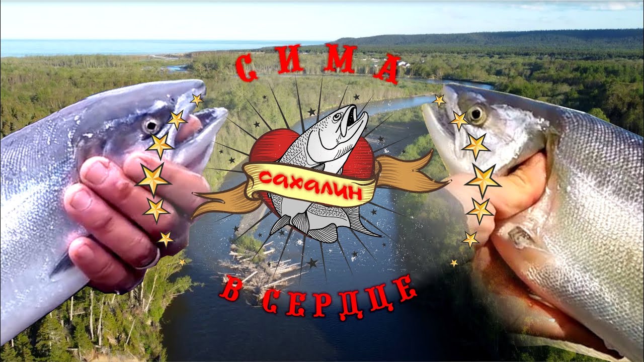 Сима в сердце Сахалина!