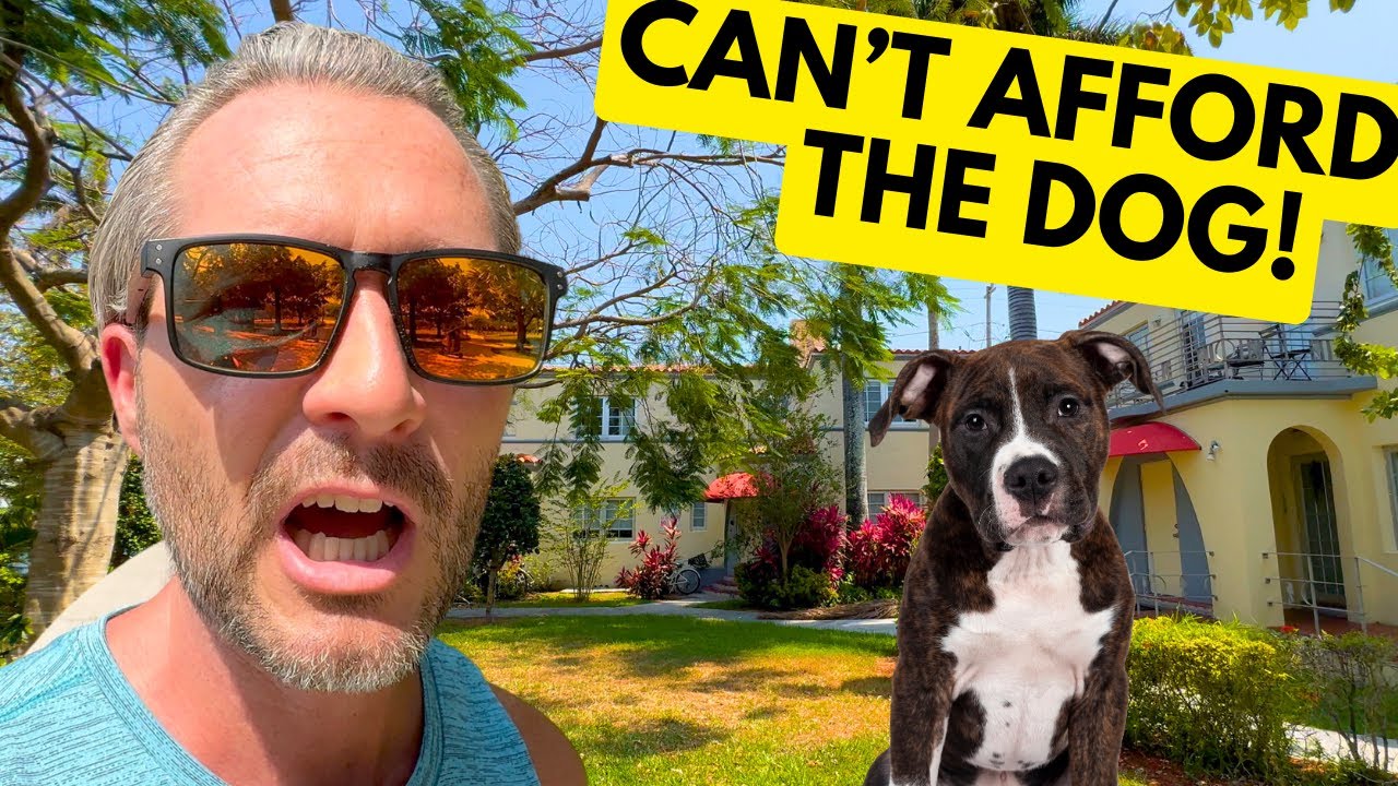 People Can NO LONGER AFFORD THEIR PETS!