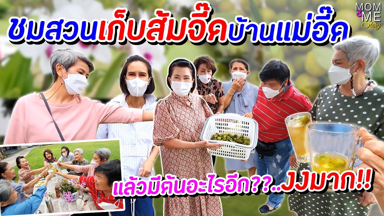 ชมสวนเก็บส้มจี๊ดบ้านแม่อี๊ด แล้วมีต้นอะไรอีก?? งงมาก!!! | mom & me story Ep.104