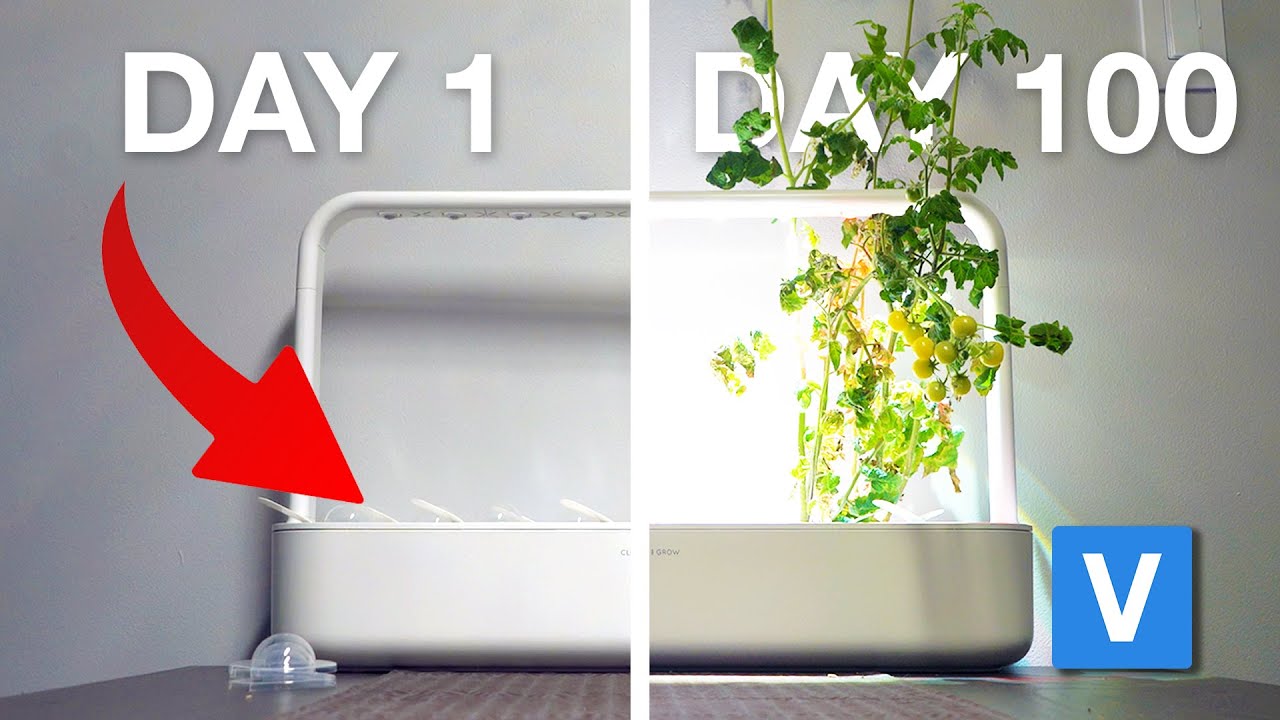 Day 1 to 100 - Click and Grow Smart Garden Long Term Review