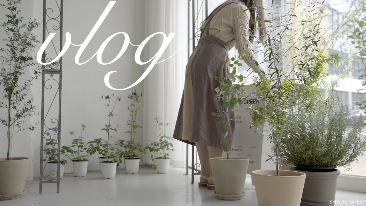 ENG / flower shop vlog | #8 봄맞이 식물 식재하기, Planting plants