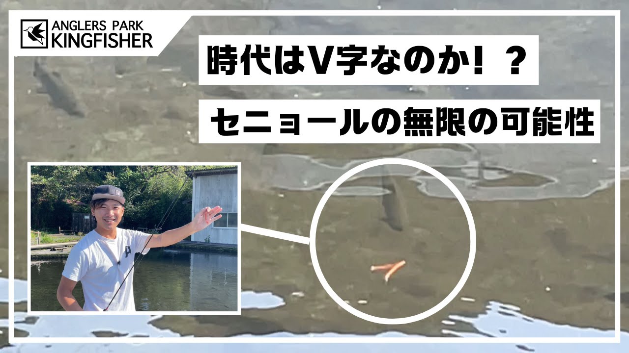 【時代はV字！？】セニョールトルネードの無限の可能性！！inキングフィッシャー