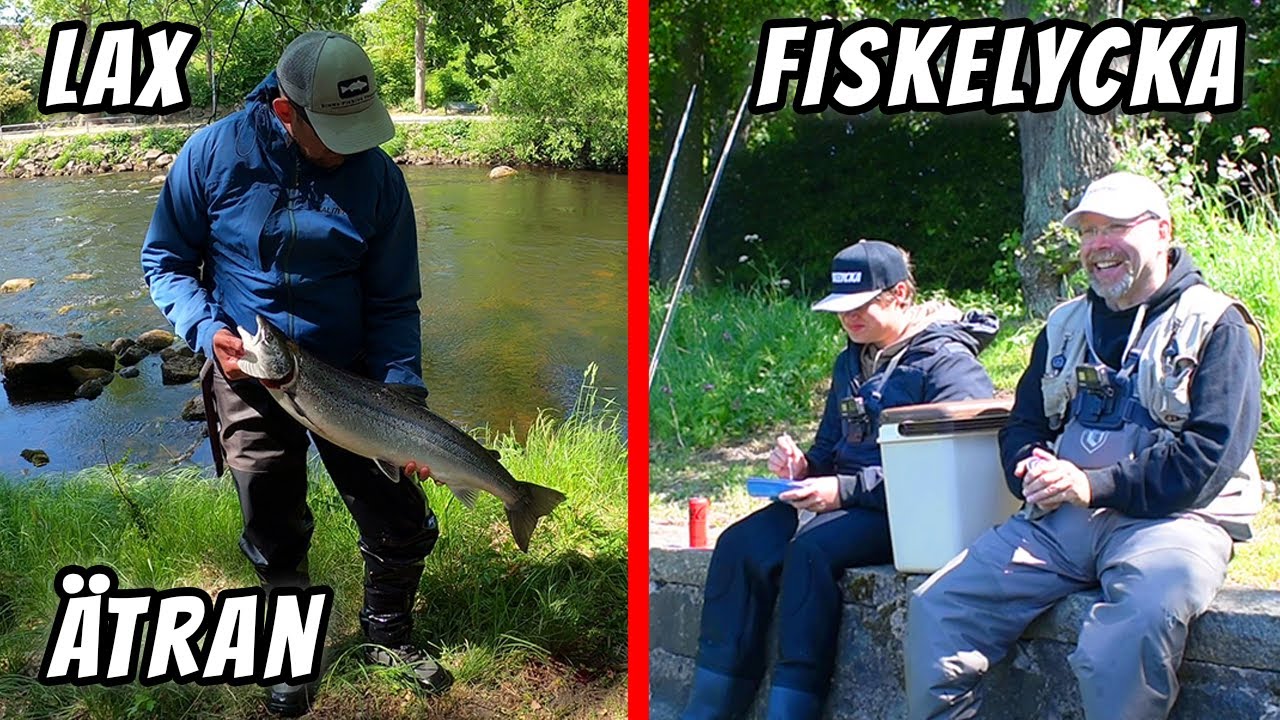 Flugfiske Efter Lax i Ätran | Fiskelycka