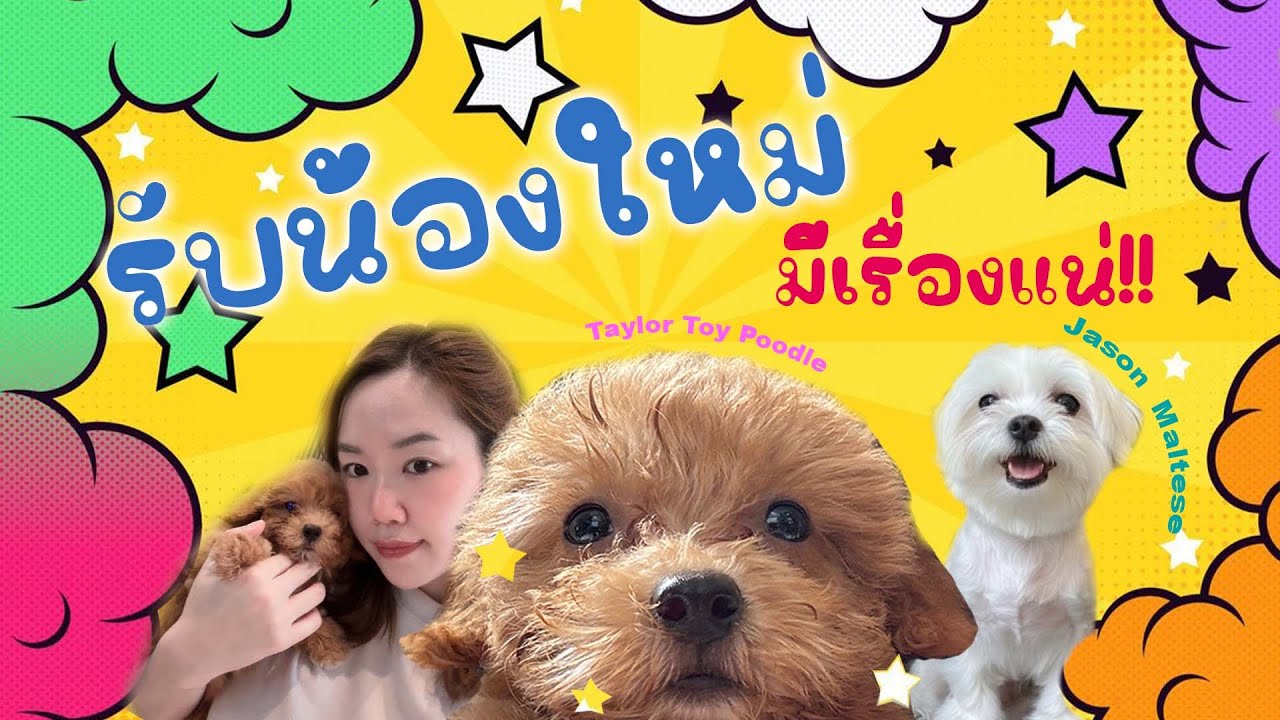 เมื่อบ้านของเรามีสมาชิกใหม่ แล้วสมาชิกเก่าอย่างเจสัน จะว่ายังไง!!! 