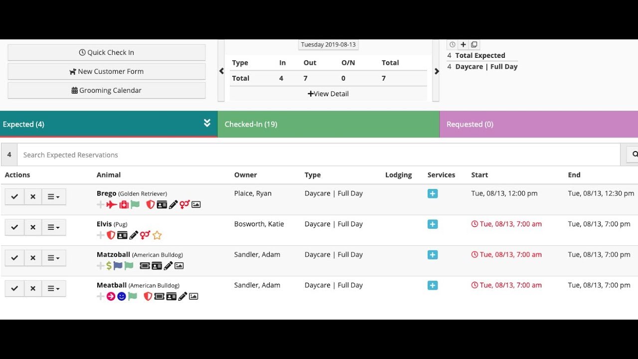 Имбирь для вашего бизнеса по уходу за собаками