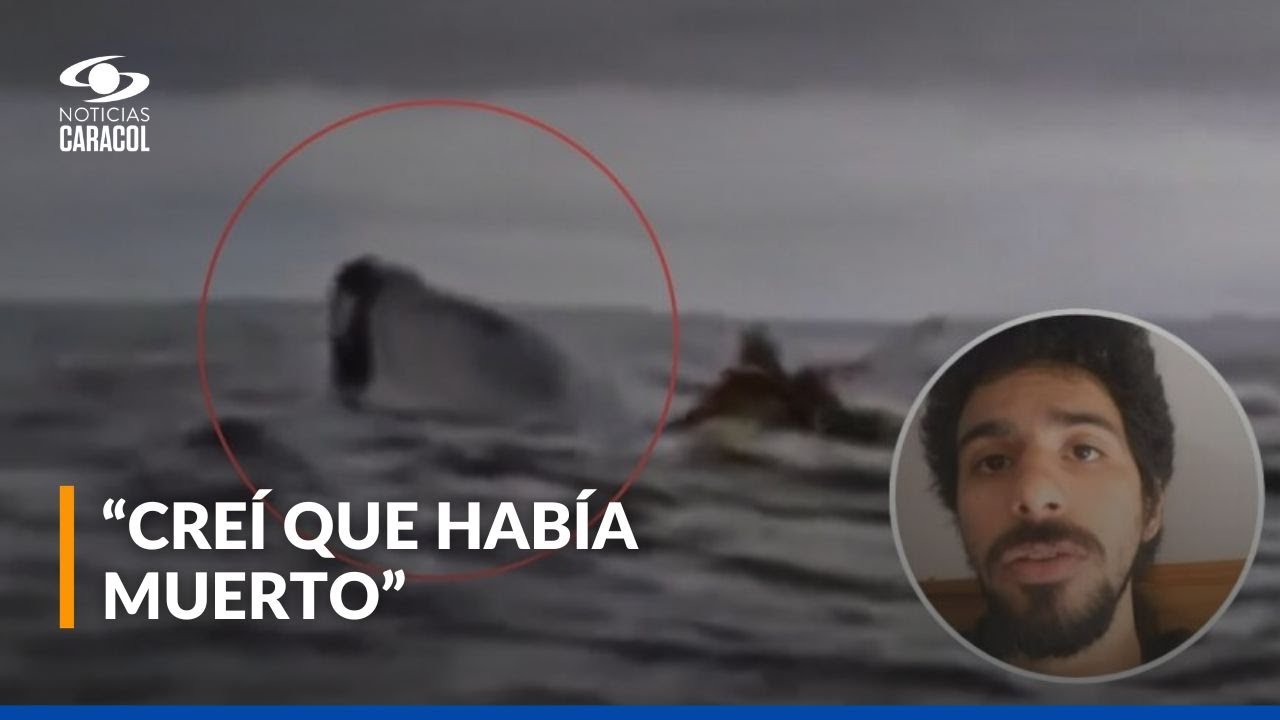 Sobrevivió para contarlo: Habla el 'Jonás' Venezolano, succionado por una ballena en Chile