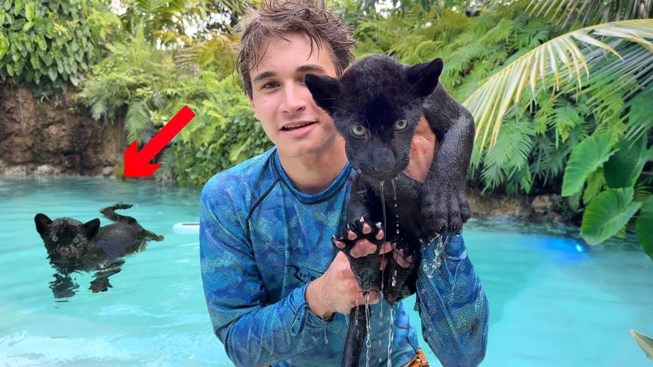 TAKING MY BABY PANTHER SWIMMIMG IN GIANT FRESHWATER LAGOON !