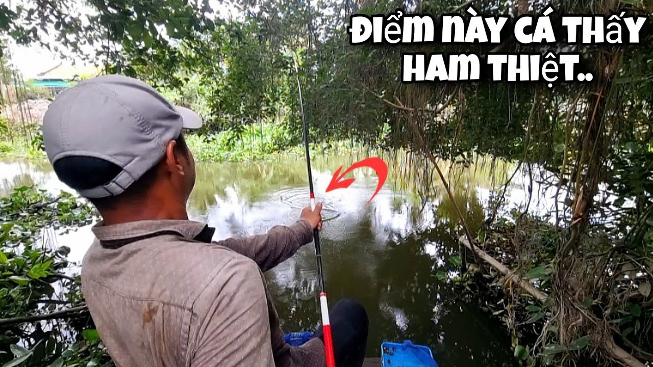 Tập 123 - Câu Cá Bằng Cách Này Cá Ăn Mồi Giật Muốn Không Kịp Luôn | Câu Cá Mè Vinh