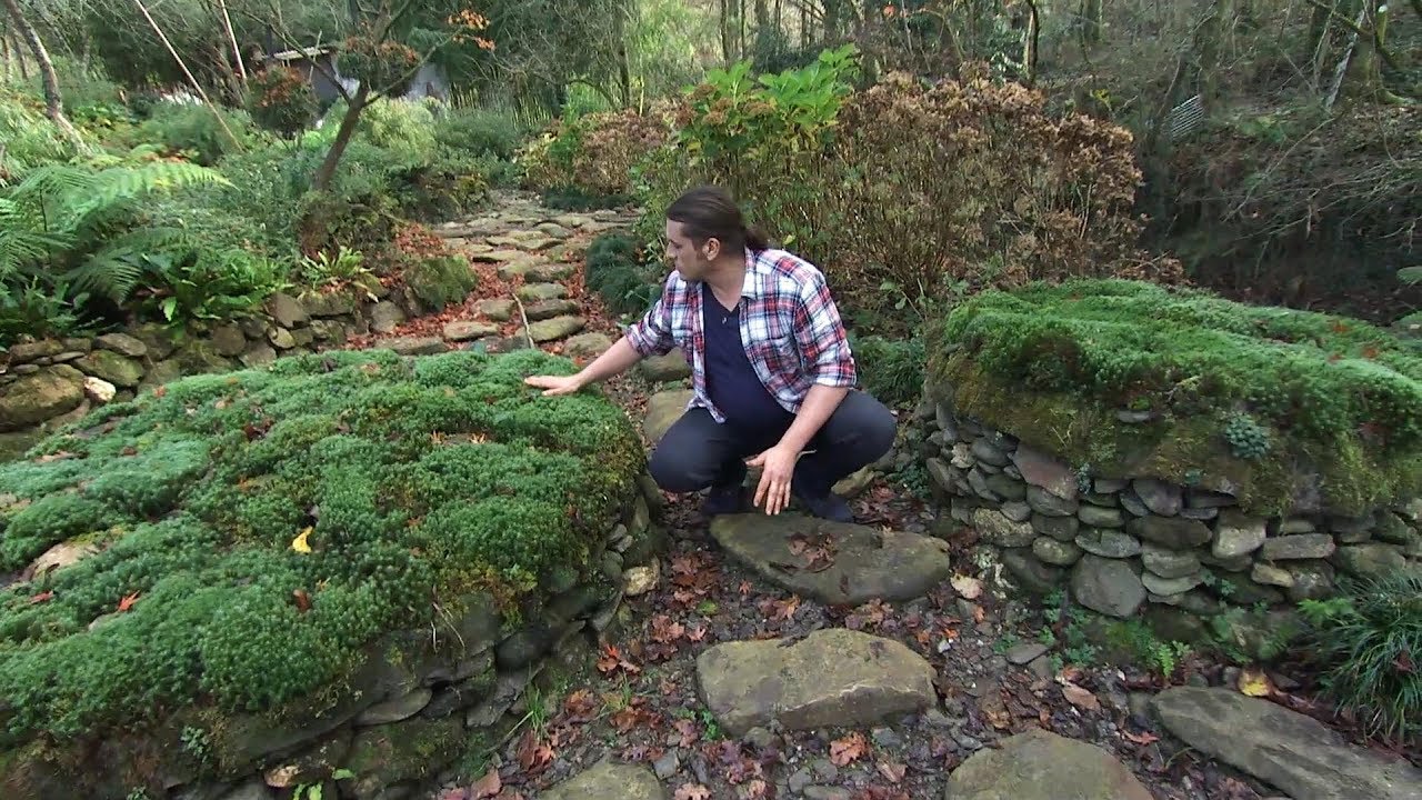 Jardín de musgos del Jardín de Luz - Decogarden - Jardinatis