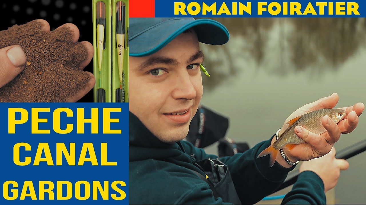 Pêche au coup en Canal - Gros Gardons dans la Somme - Amorces, Lignes et Techniques Romain Foiratier