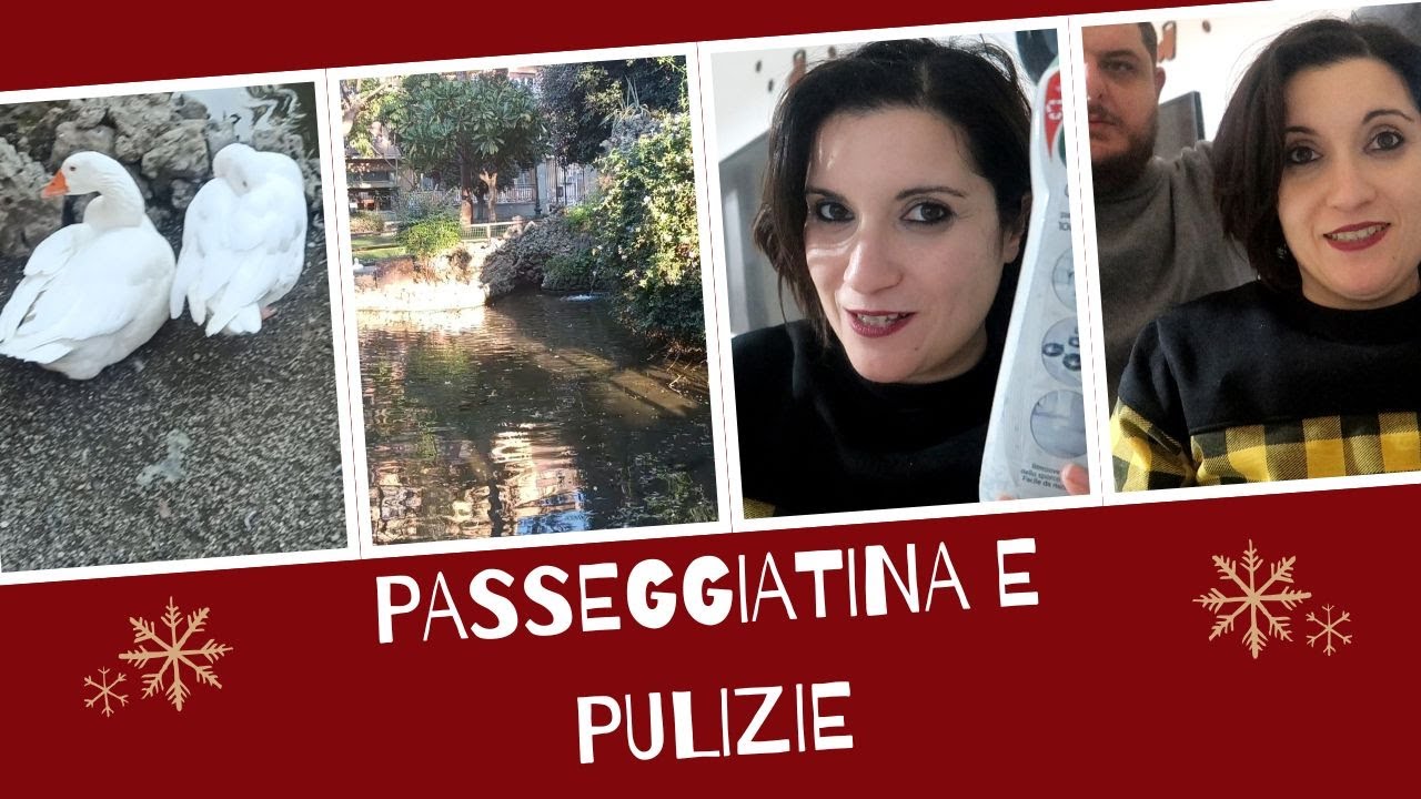 VLOGMAS PASSEGGIATINA E PULIZIE