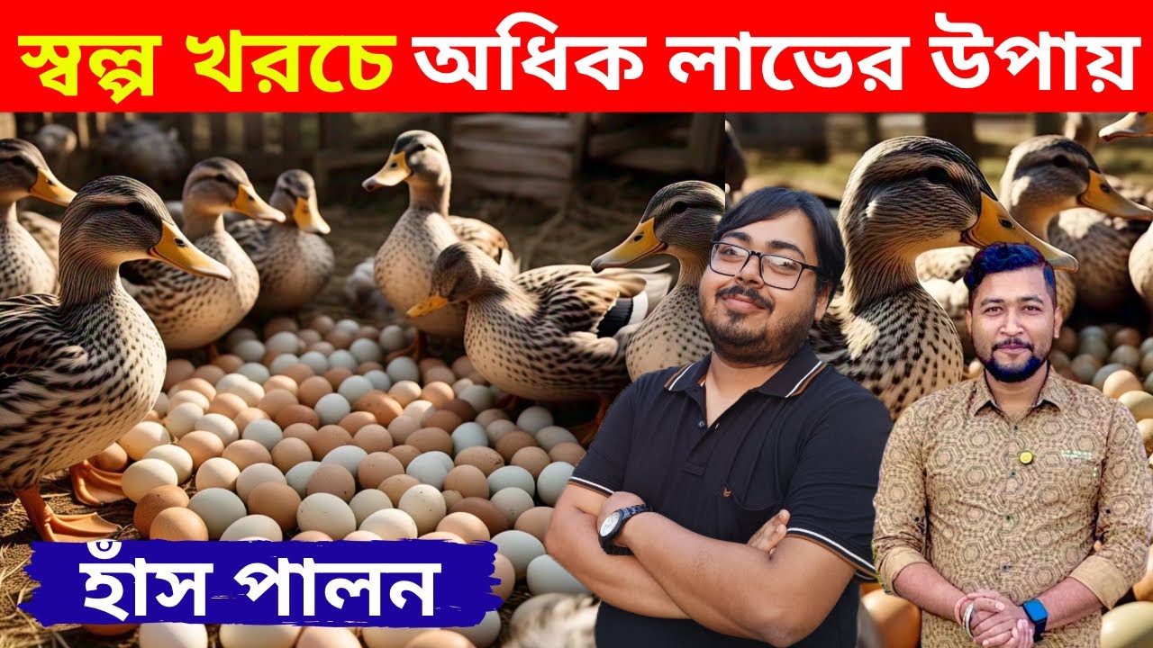 হাঁস পালনে অধিক লাভের উপায় স্বল্প খরচে।duck farming in West Bengal.