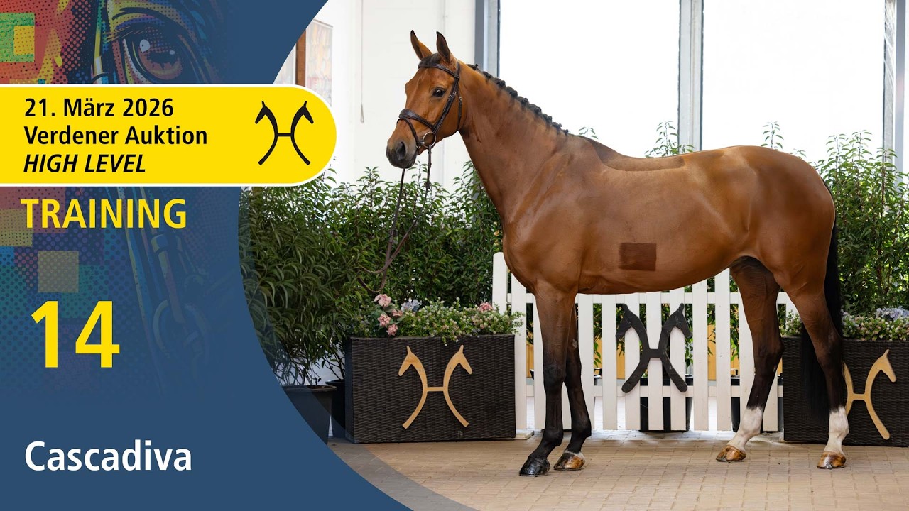 No.  14 Cascadiva by Cascadello I - El Bundy | High Level Auction - OnLive - March, 21th