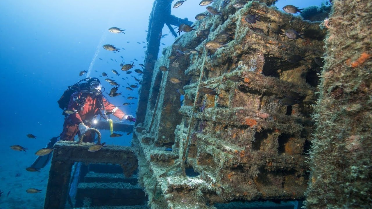 Artificial Reef . NGO Scaph pro .History and concept .The French Mediterranean programs