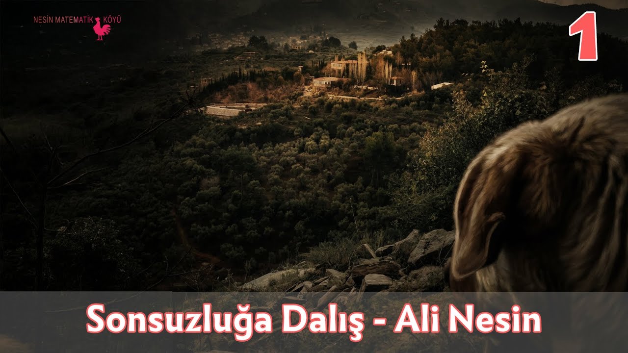 Hilbert'in Sonsuz Oteli 1 | Ali Nesin