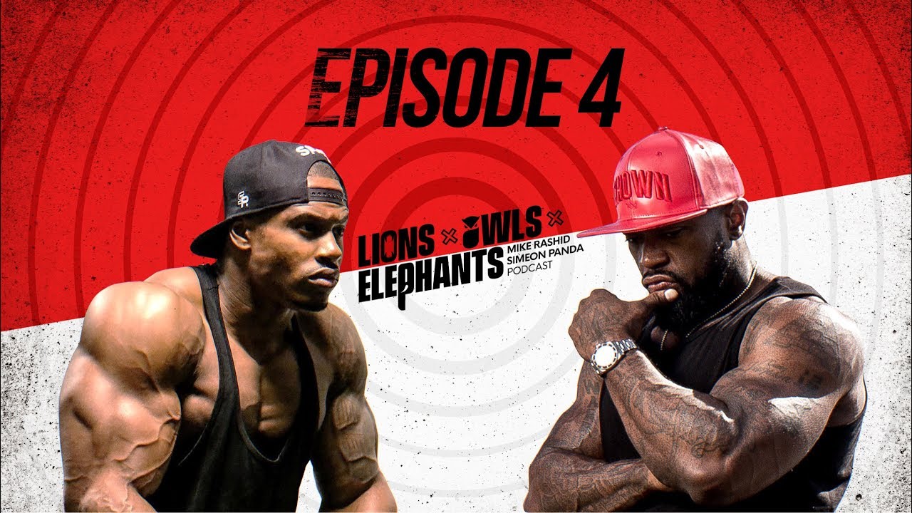 Lions, Owls & Elephants episode 4: Are you offended when someone uses the ‘N’ word?