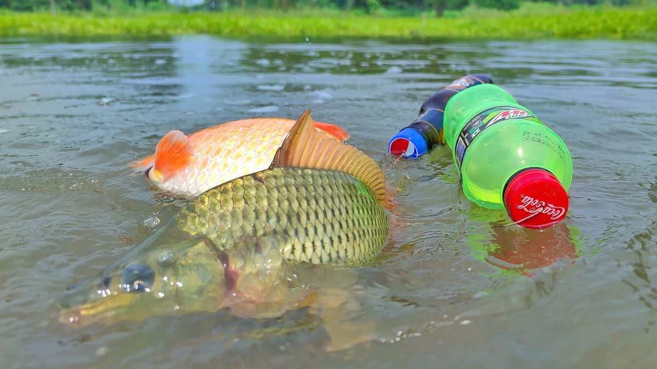 Unique Traditional Fish Trap By Plastic Bottle With Hook | Amazing Fishing Trapping System