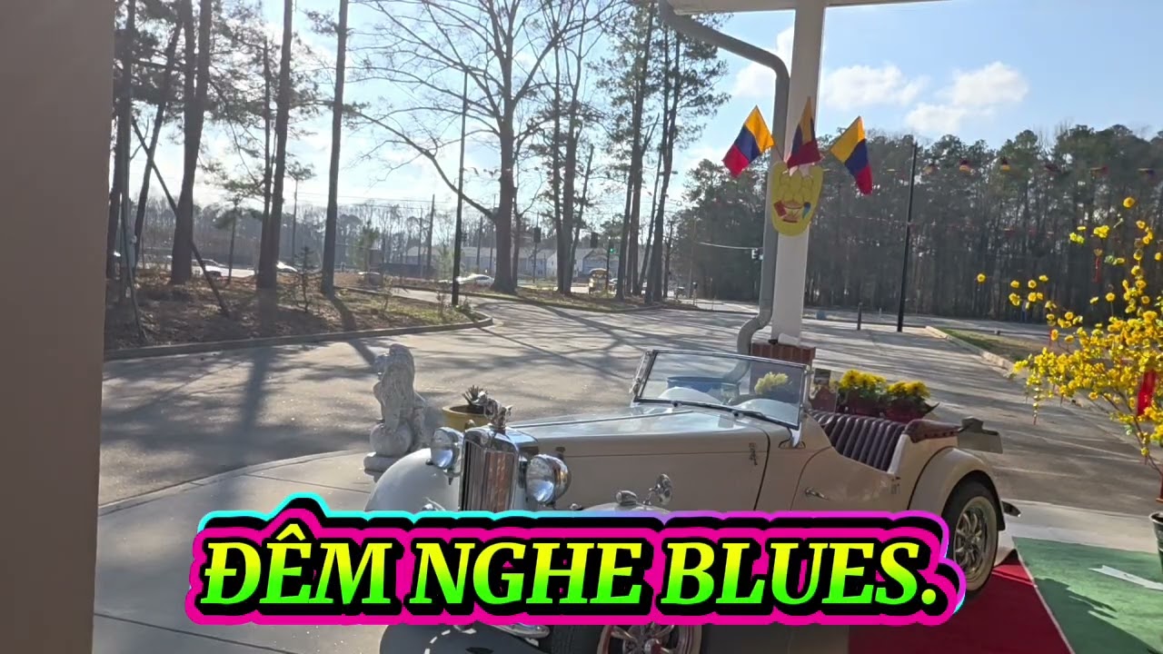 ĐÊM NGHE BLUES. 
