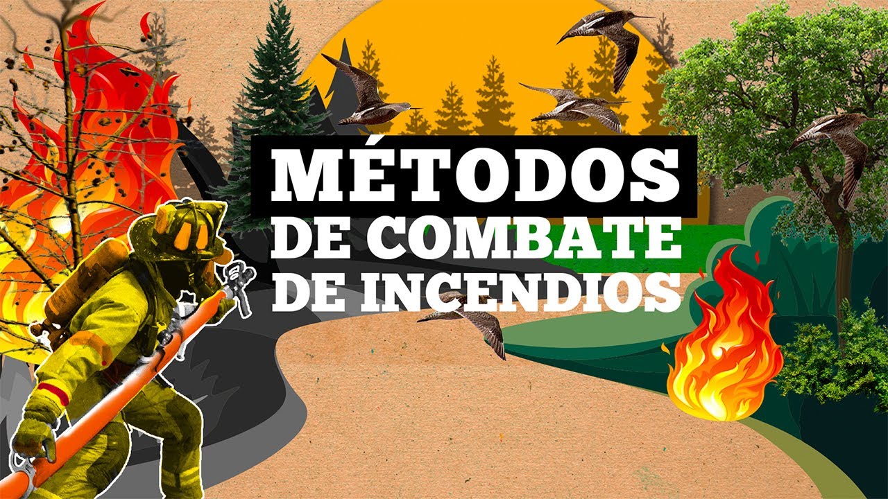 M&eacute;todos de Combate de Incendios Forestales