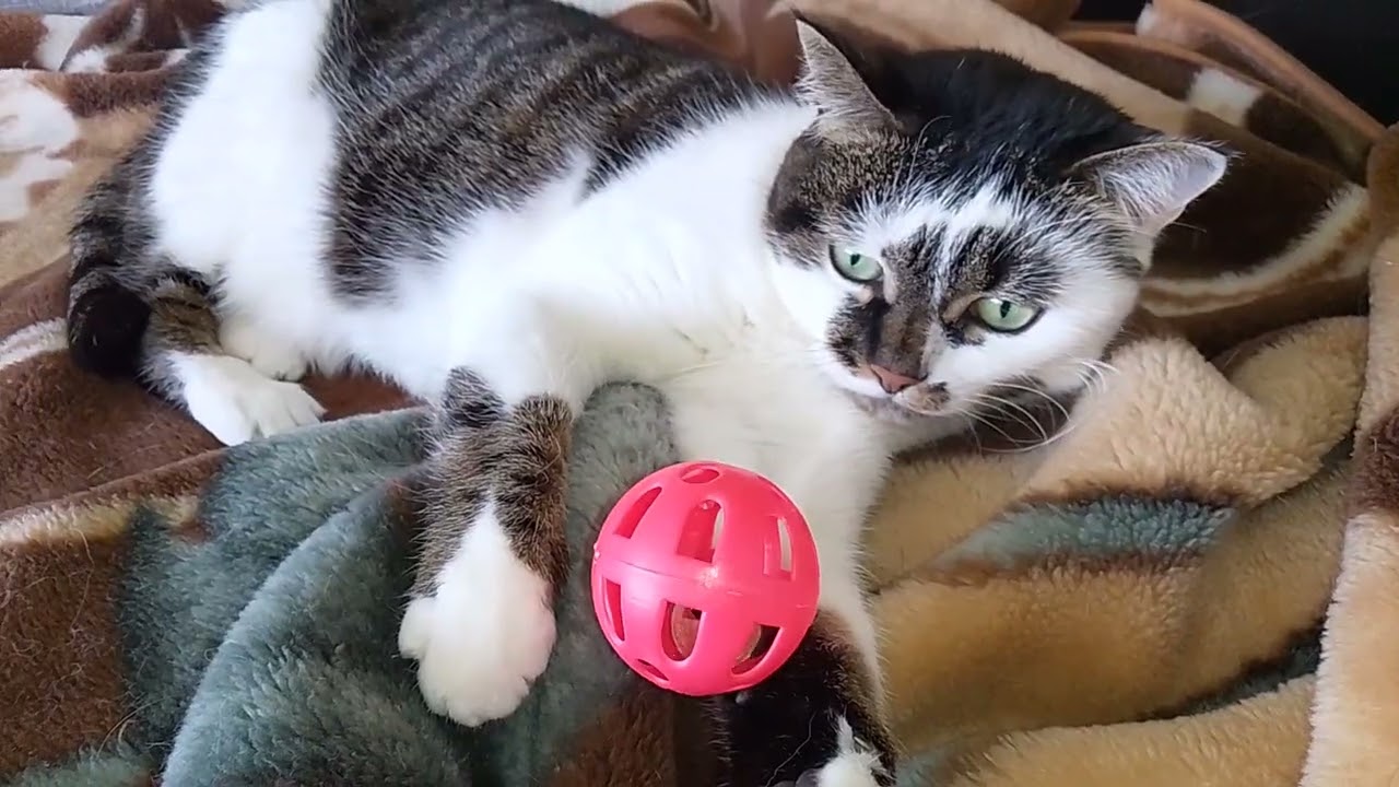 БОЛЬШАЯ СТИРКА!🤣 ВОТ СКОЛЬКО ДОБРА НАШЛИ!🙀😸👛 ФИФА ВООБРАЖУЛЯ!😻