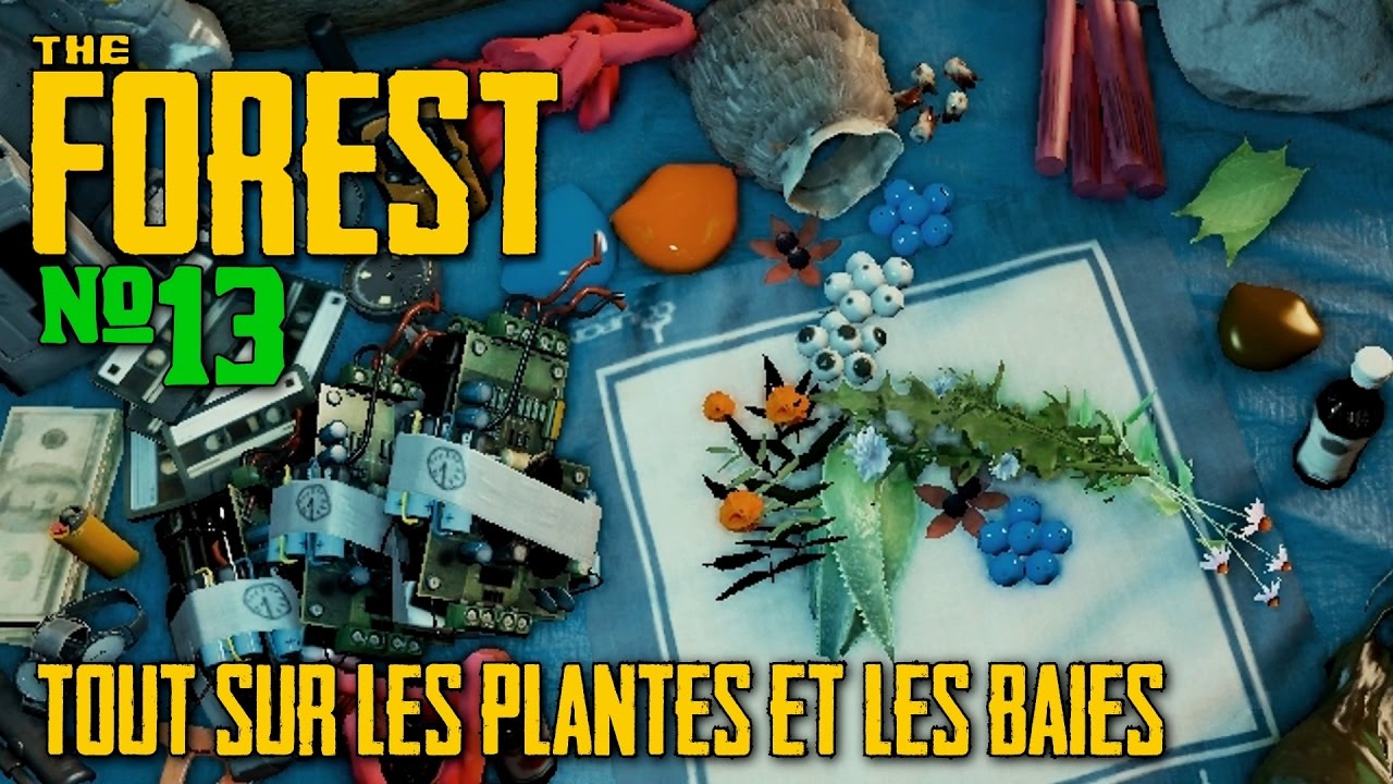 THE FOREST - Tous sur les plantes et les baies