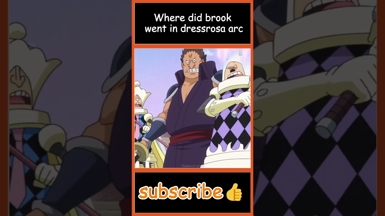 Where did brook went in dressrosa arc 🤔|| 
