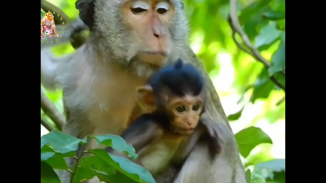 situasainya sangat memburuk | antara ibu dan anak