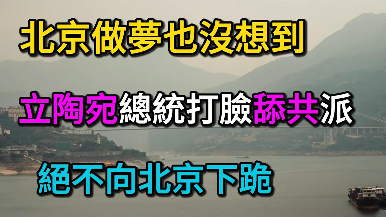 北京做夢也沒想到！台灣砸出半導體「王炸」，幫立陶宛逆天改命！為保「台灣」二字險些內訌！立陶宛總統當眾打臉妥協派：絕不向北京下跪！