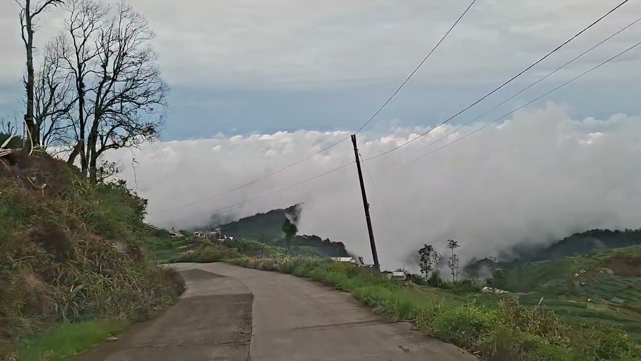 Lagu 